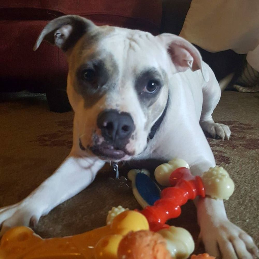 Meet your Posher, Erin